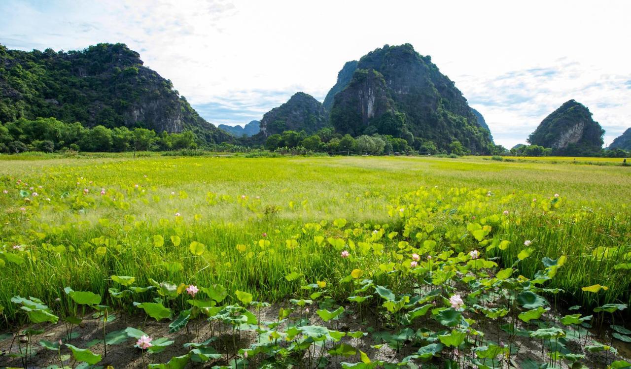 Trang An Tam Gia Trang Resort Ninh Binh Buitenkant foto