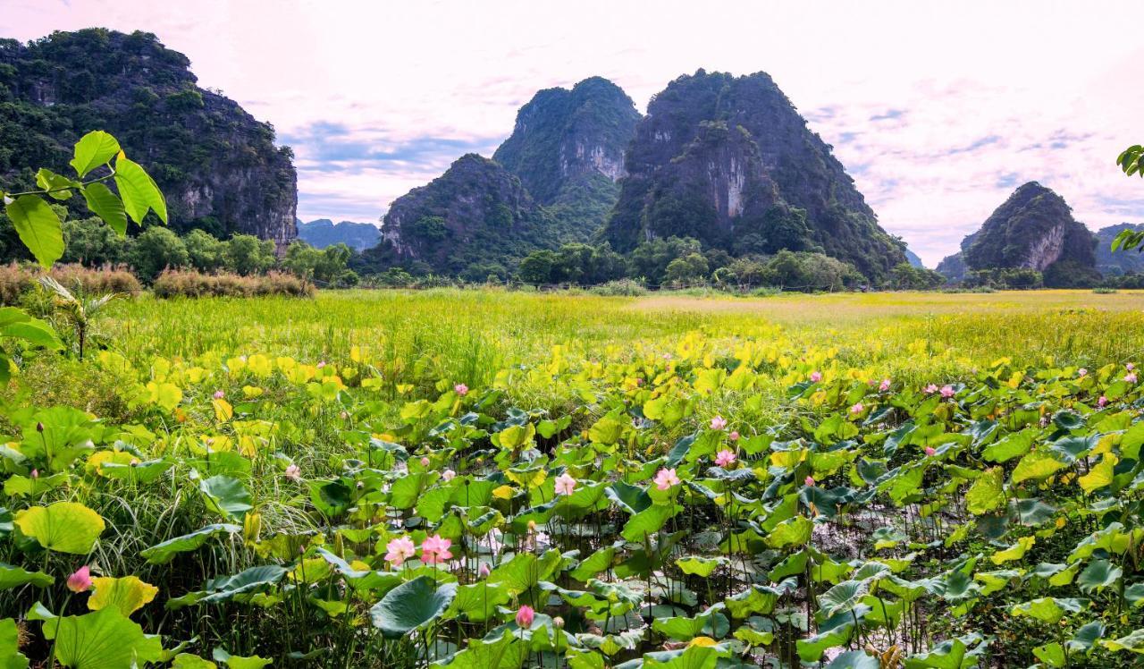 Trang An Tam Gia Trang Resort Ninh Binh Buitenkant foto