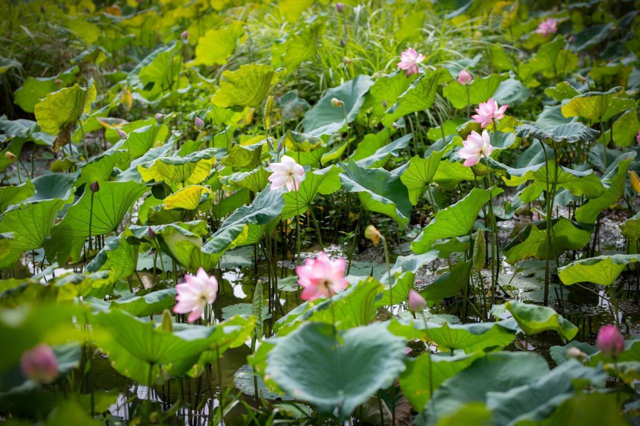 Trang An Tam Gia Trang Resort Ninh Binh Buitenkant foto