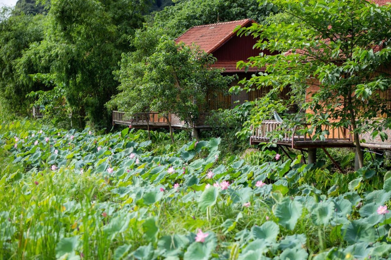 Trang An Tam Gia Trang Resort Ninh Binh Buitenkant foto