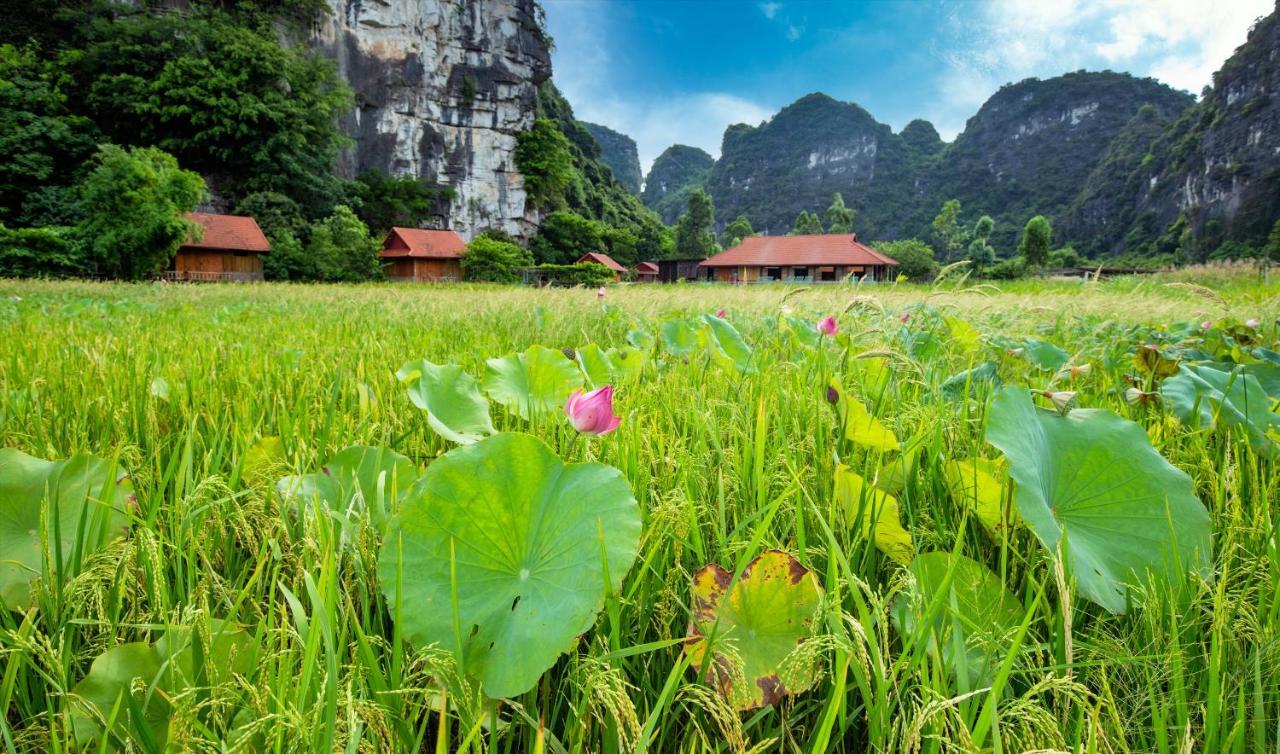 Trang An Tam Gia Trang Resort Ninh Binh Buitenkant foto