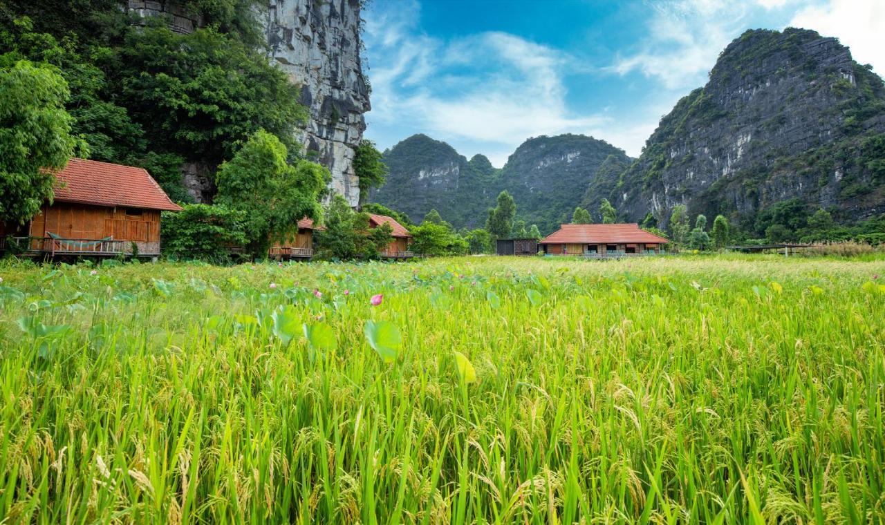 Trang An Tam Gia Trang Resort Ninh Binh Buitenkant foto