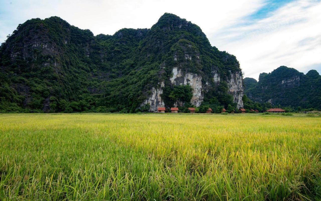 Trang An Tam Gia Trang Resort Ninh Binh Buitenkant foto