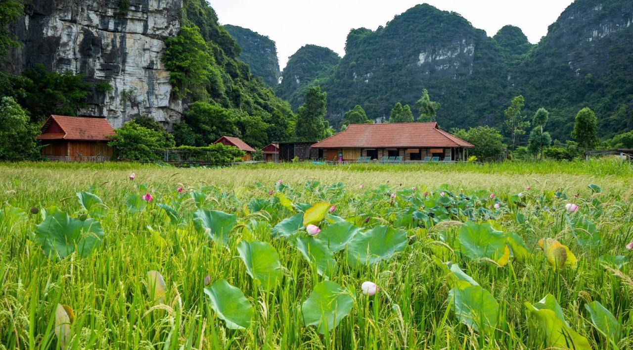 Trang An Tam Gia Trang Resort Ninh Binh Buitenkant foto