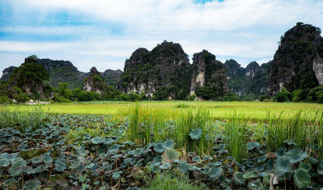 Trang An Tam Gia Trang Resort Ninh Binh Buitenkant foto